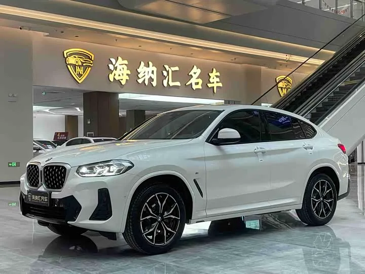 BMW X4 xDrive 25i M Sport Package